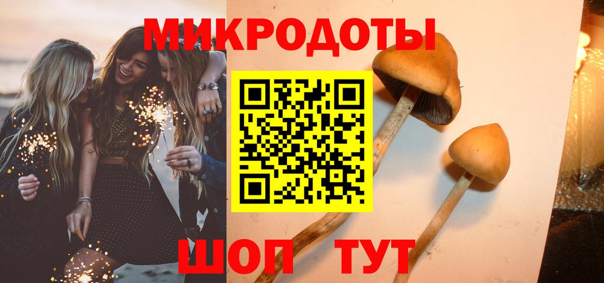 Галлюциногенные грибы MAGIC MUSHROOMS  Вход с VPN  Моршанск  Псилоцибиновые грибы MAGIC MUSHROOMS 
