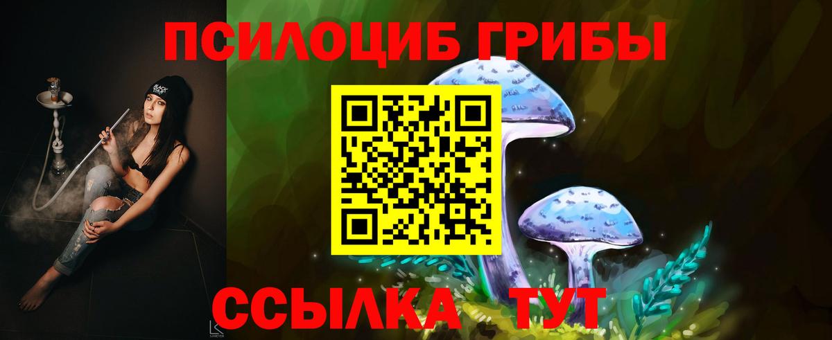 Псилоцибиновые грибы Psilocybe Моршанск